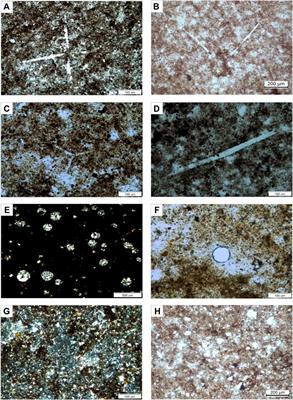 The Origin of Silica of Marine Shale in the Upper Ordovician Wulalike Formation, Northwestern Ordos Basin, North China